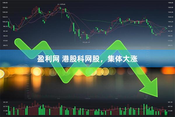 盈利网 港股科网股，集体大涨
