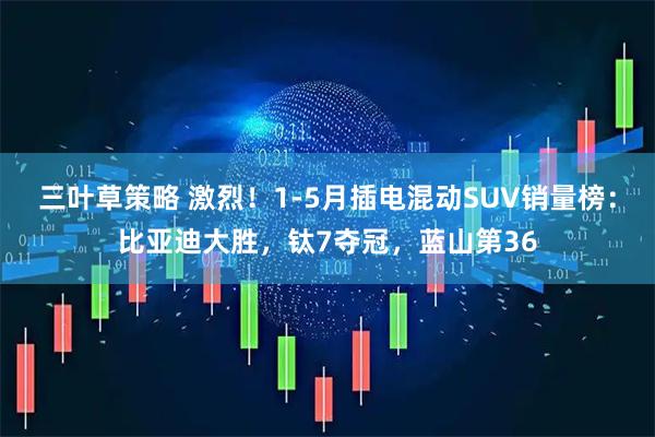 三叶草策略 激烈！1-5月插电混动SUV销量榜：比亚迪大胜，钛7夺冠，蓝山第36