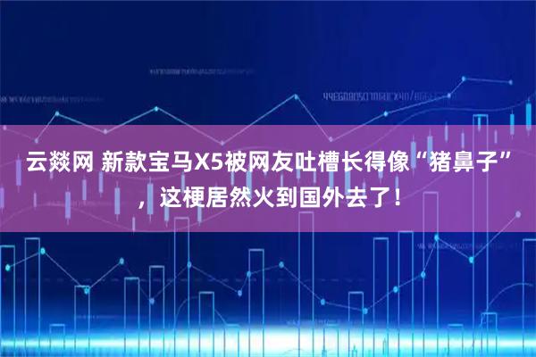 云燚网 新款宝马X5被网友吐槽长得像“猪鼻子”，这梗居然火到国外去了！